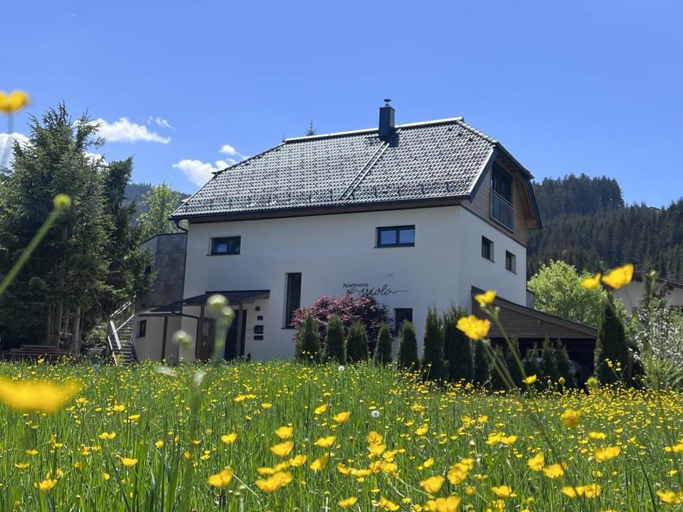 Hausansicht Sommer