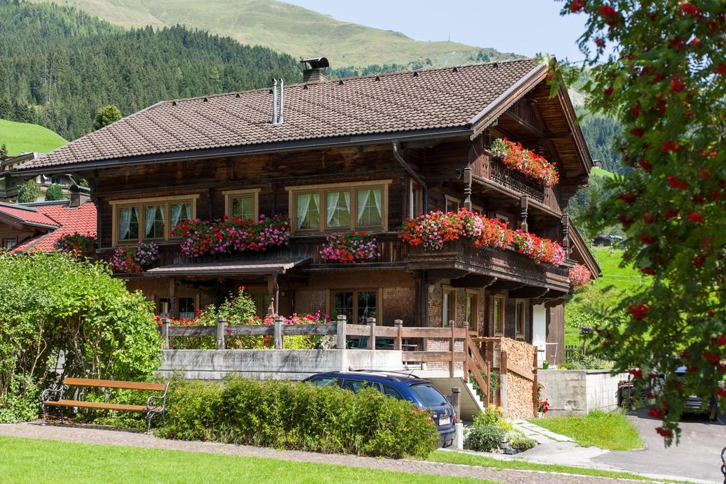 Hausansicht Sommer