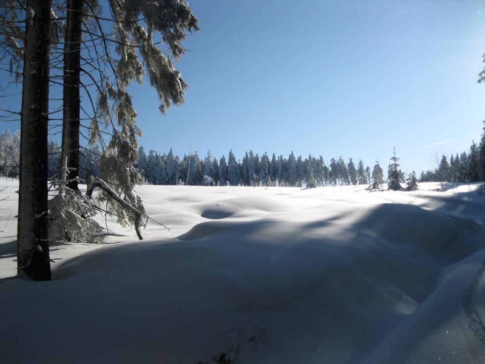 Winter Landschaft