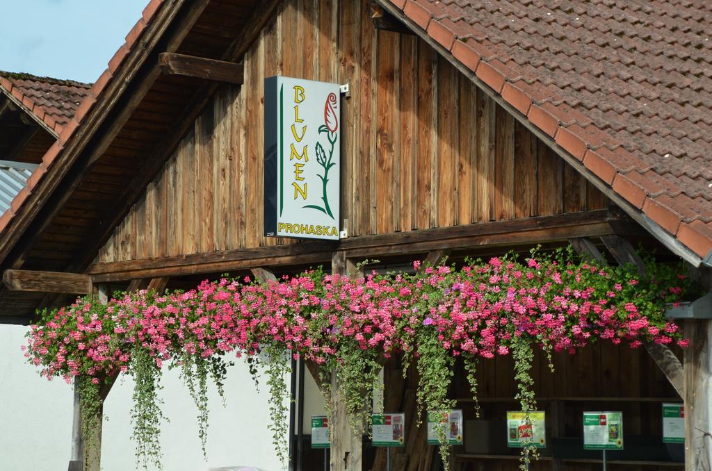 Blumen Prohaska (Foto: Gemeinde)