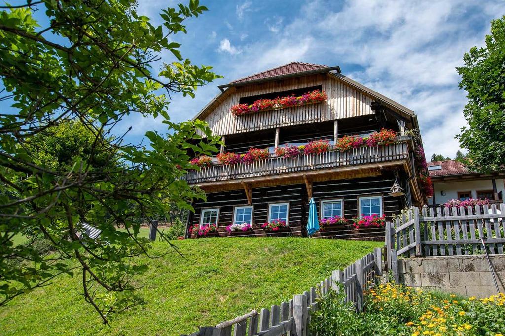 Hausansicht im Sommer
