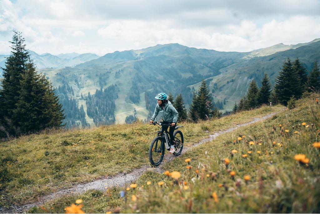 E-Bike