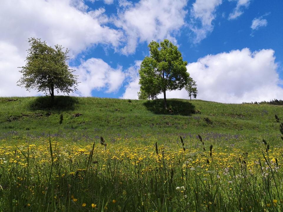 wandern-wodenalm-c-desiree-dezordo.jpg