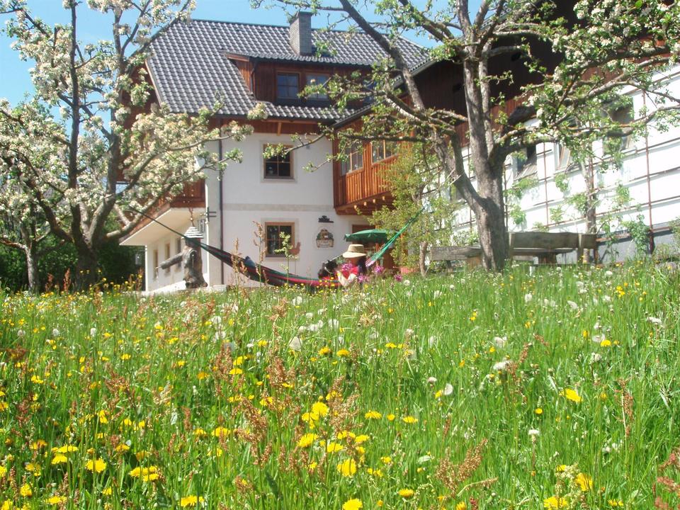 Hansalhof