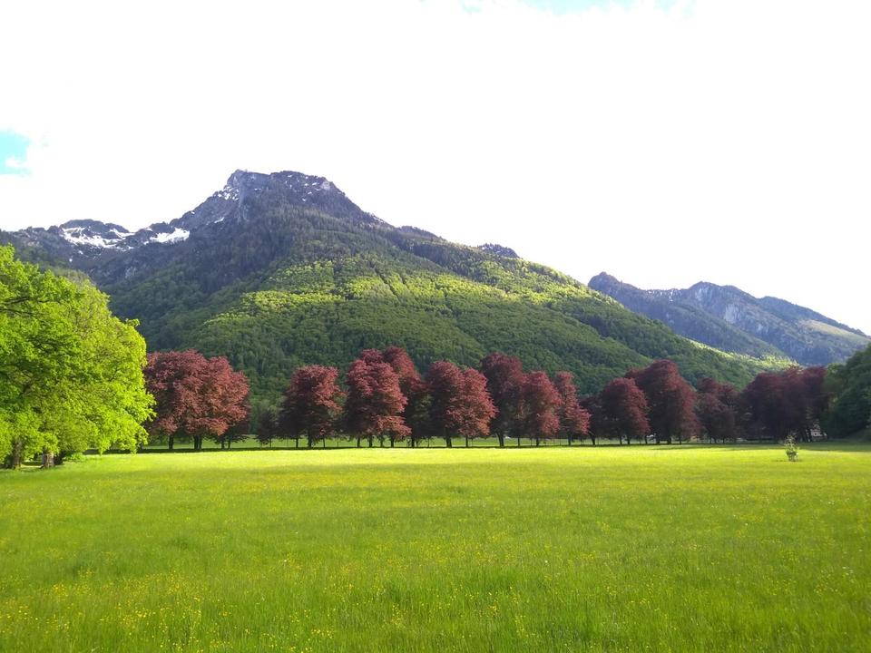 Hinter dem Haus
