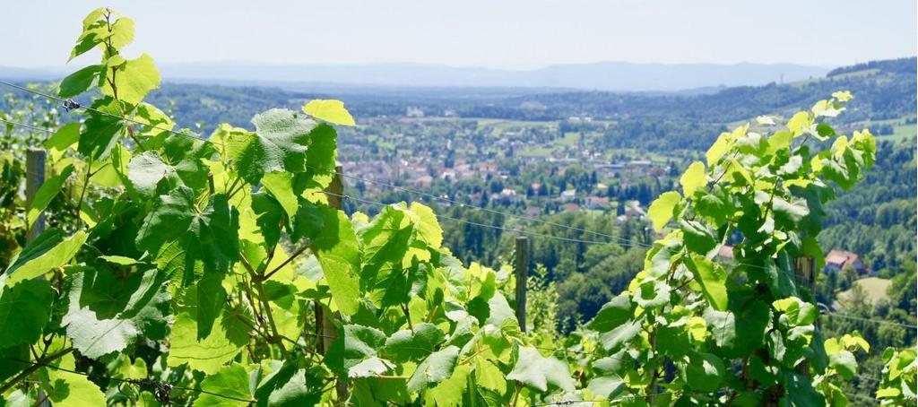 Weingut Mally