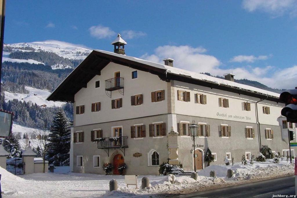 Schwarzer Adler Winter
