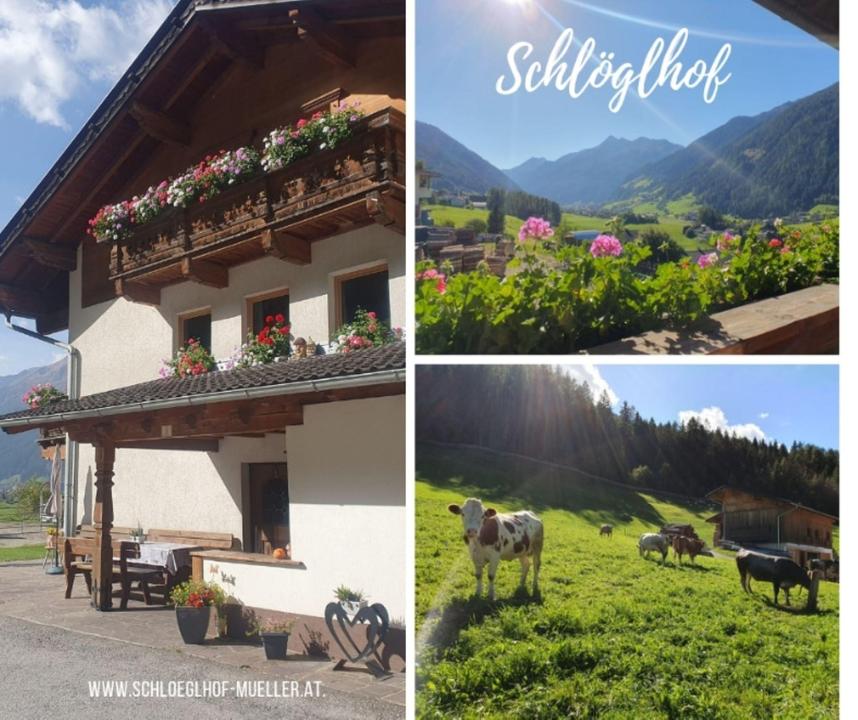 Schlöglhof 2