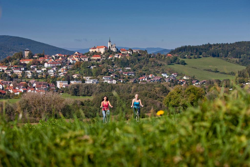 E-Bike-Spaß mit Blick auf Althofen