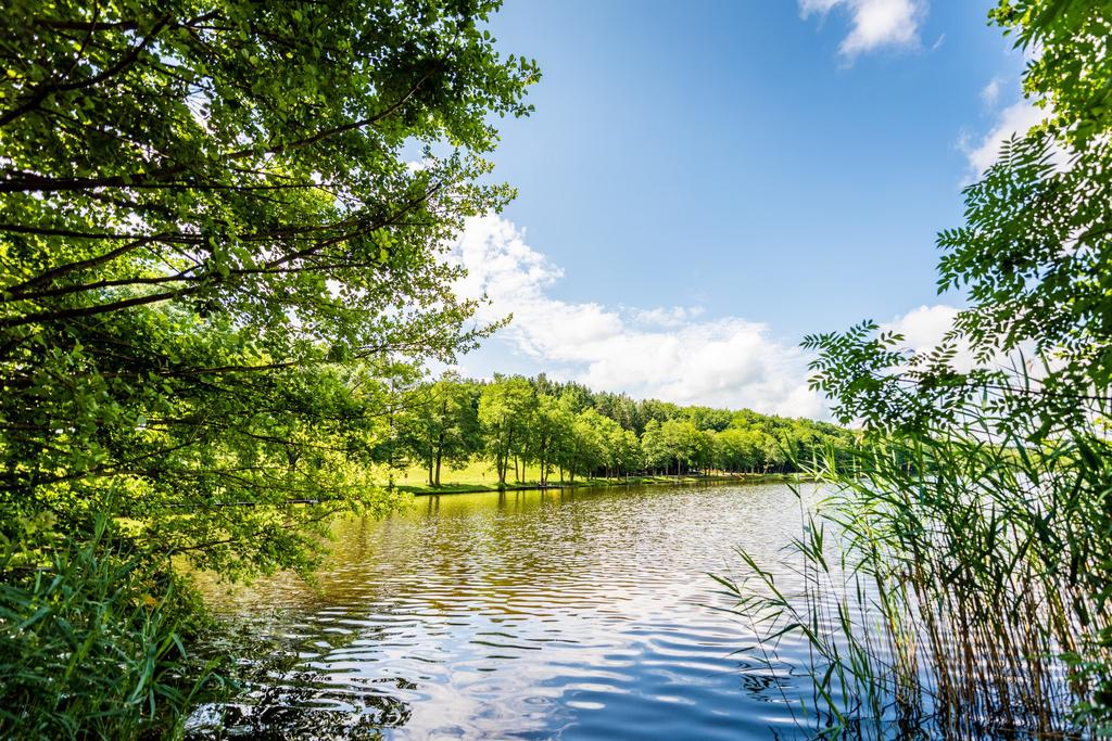 Entdeckerviertel_Picknick_Famile am Holzöstersee Franking_by Entdeckerviertel Media (27).jpg