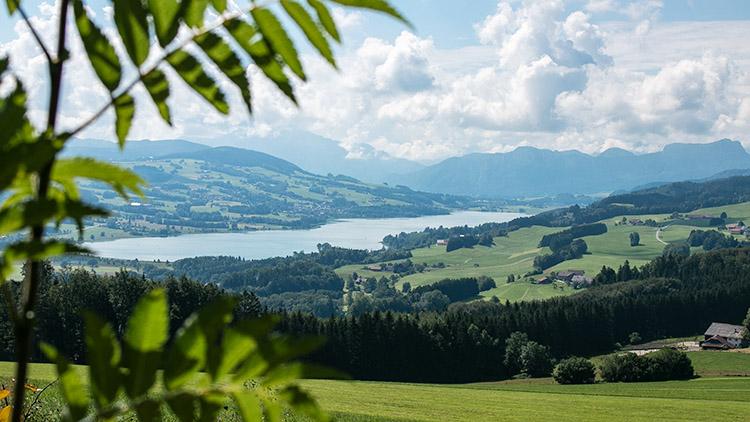 Aussicht über den Irrsee