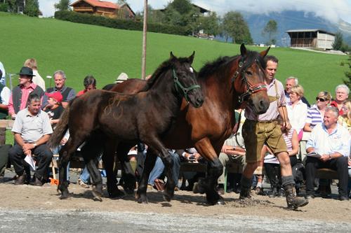 Rösslmarkt Abtenau