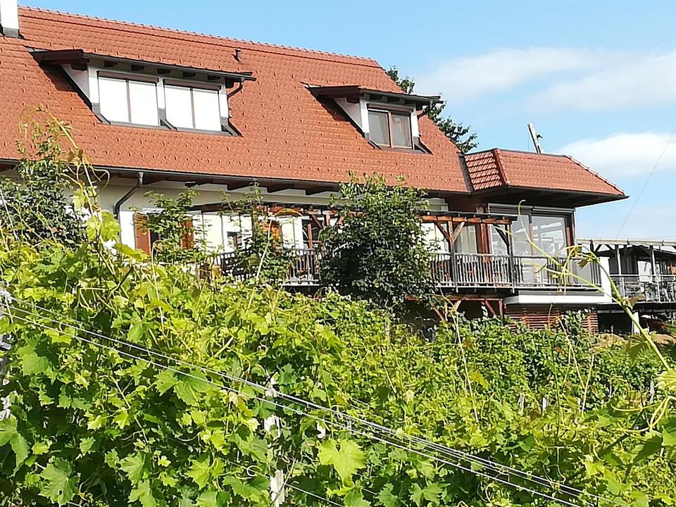 Weingut Skringer vlg. Ranz Haus