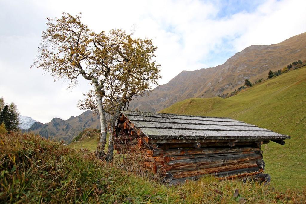 ©-TVB-Tiroler-Oberland-Kurt-Kirschner-Herbst-Kobl-Pfunds-2016 (24).jpg