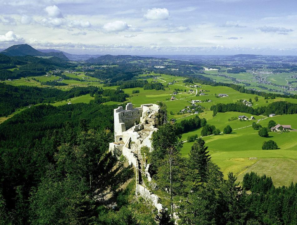 Burgruine Wartenfels von oben