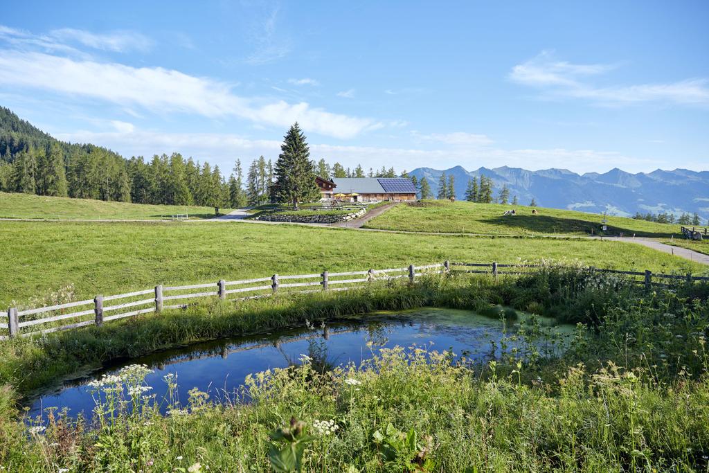 Blick Richtung Alpe Rona