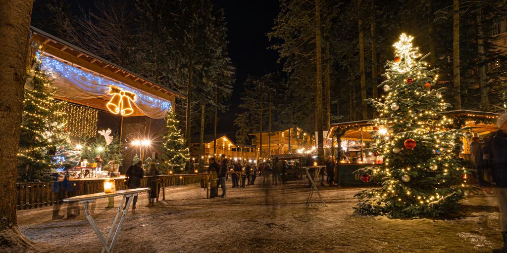 2023_Waldweihnacht