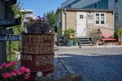 59342-Inizio_web_2023@MarcelHagen(2) (1)
