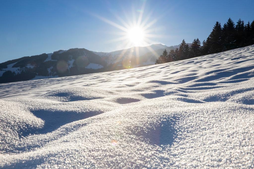 Reith Schneeglitzer