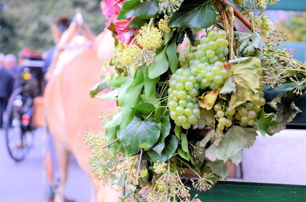 Weinlesefest