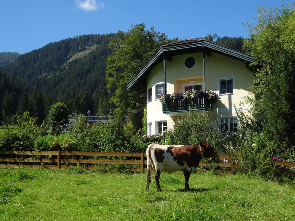 Sommer