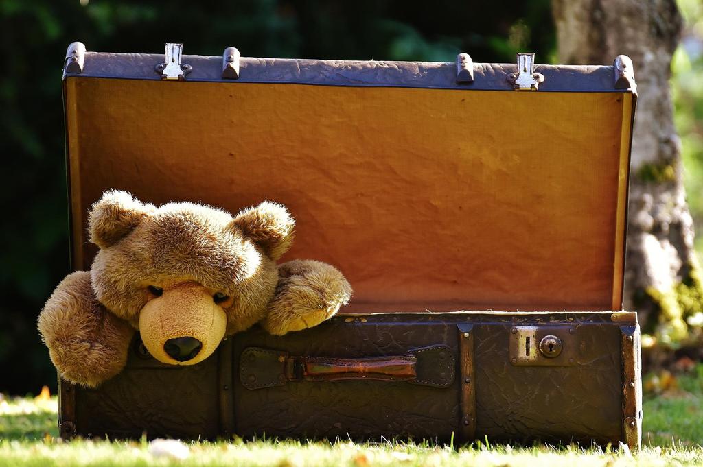 luggage (c) pixabay_luggage-1650171_1920