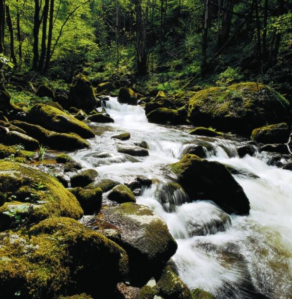 10-Oktober-Wandern im Kößlbachtal.jpg