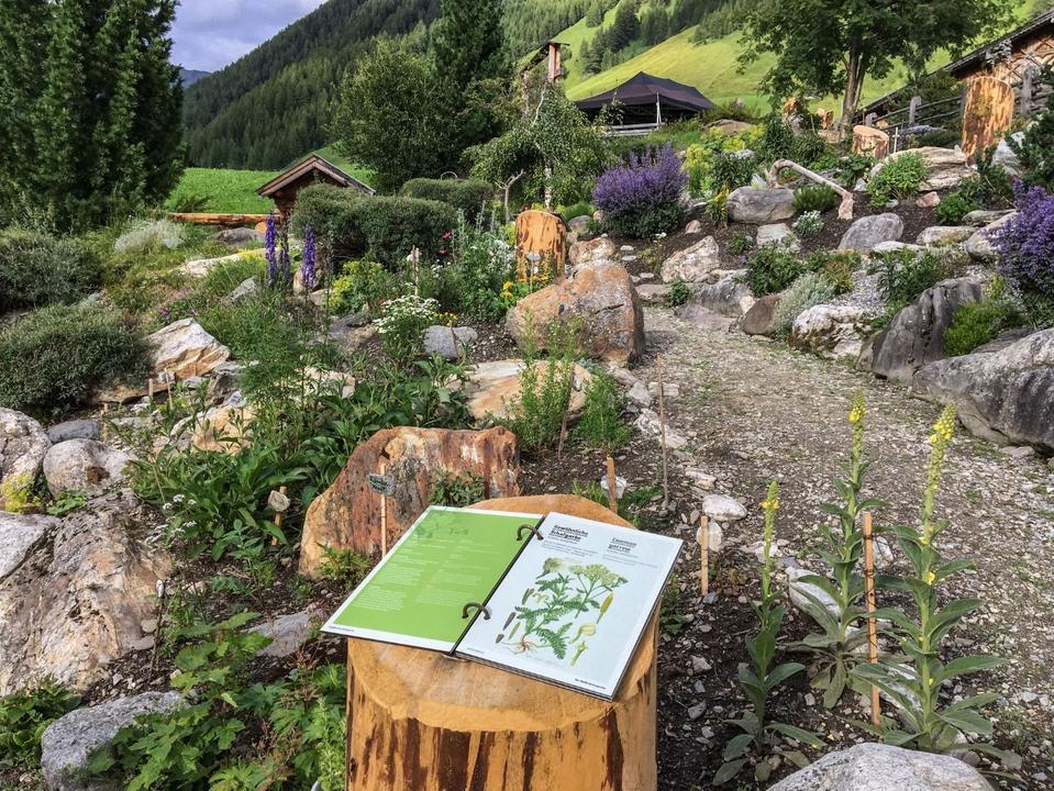 Alpenblumengarten-schmirn-3-klein.jpg