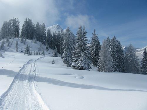 Rodelbahn Ostpreussenhütte