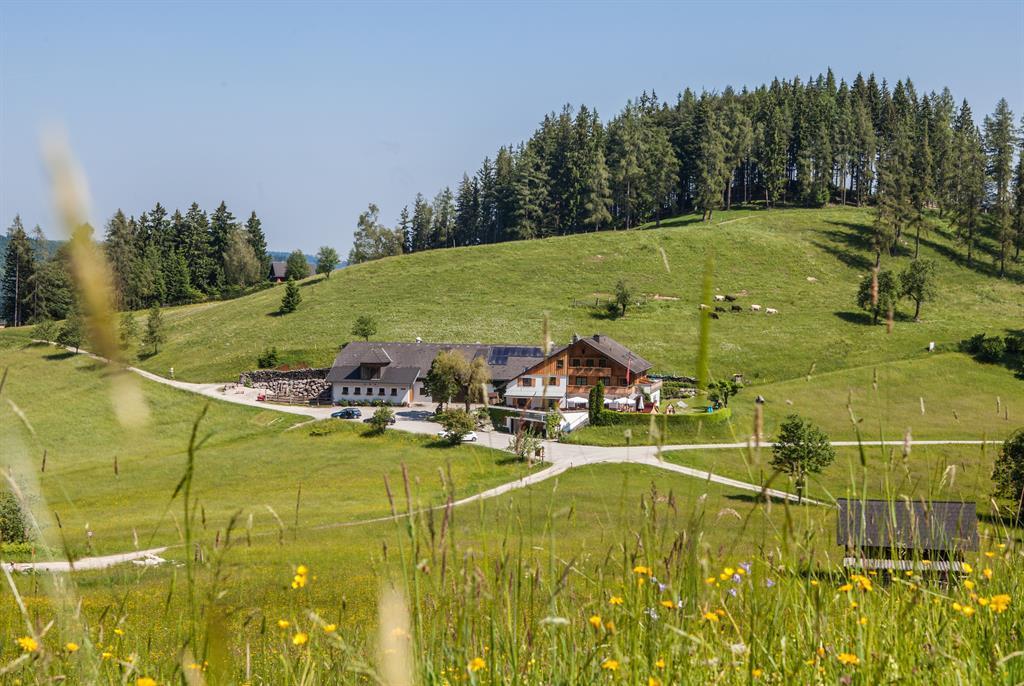 Windlegern