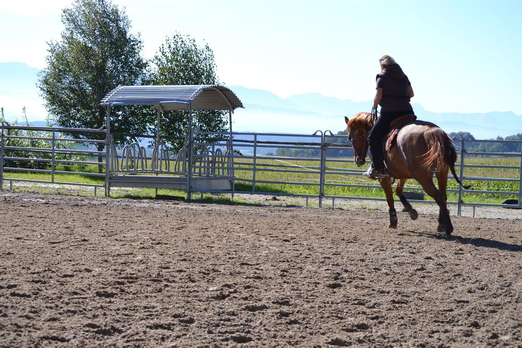 Sun Side Ranch(3)