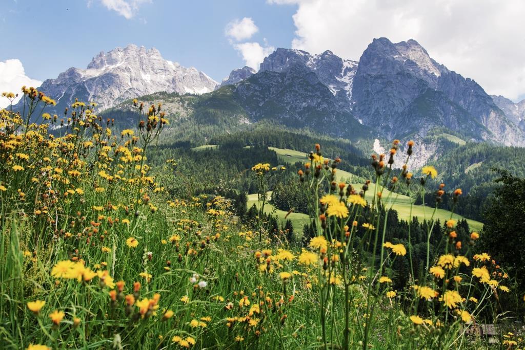 Leogang Sommer