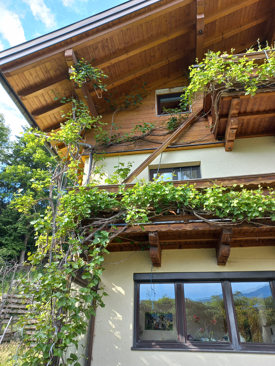 Haus Zitz Sommer