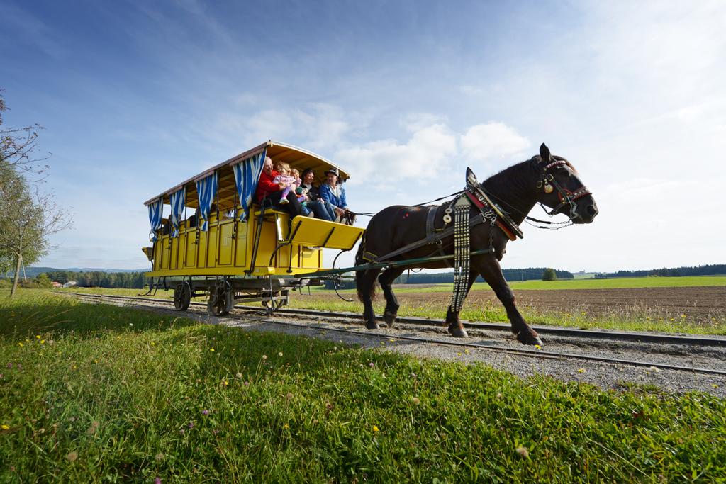 S.21_2_Rainbach_Pferdeeisenbahn (c) OÖT Röbl