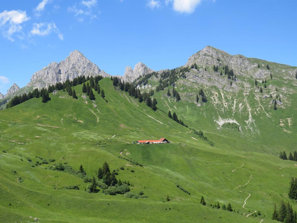 Lechaschauer Alm Panorama