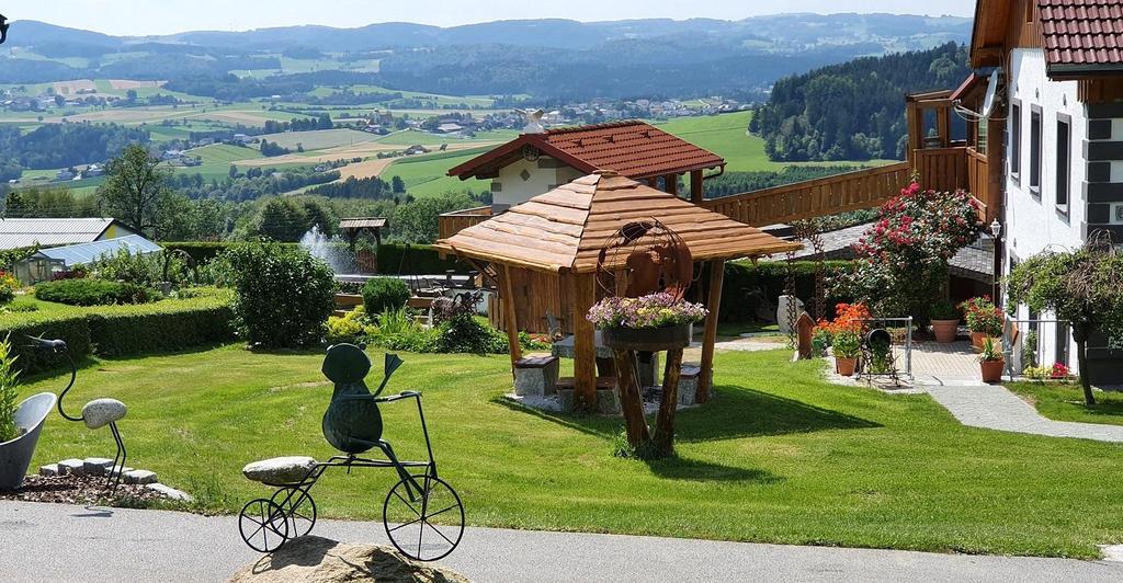 Ausblick mit Frosch