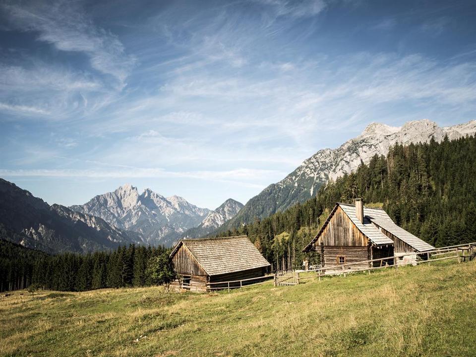 H%c3%b6randalm_im_Nationalpark_Ges%c3%a4use