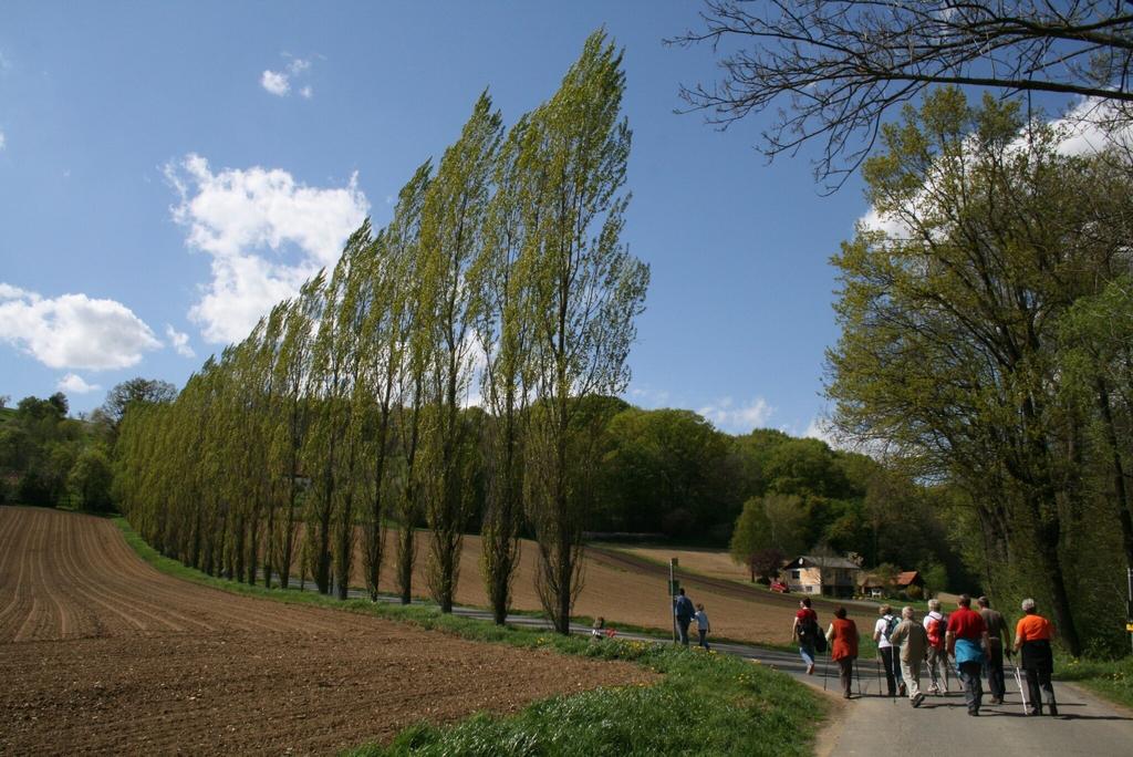 Wandern