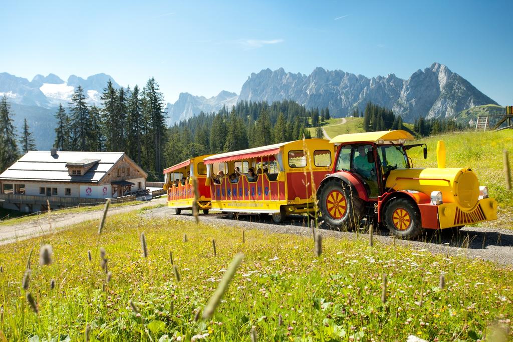 Zwieselalm