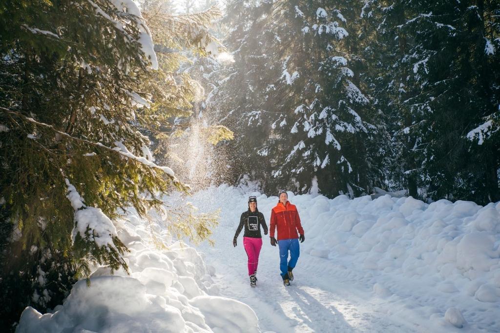 Schnee Winterwandern Winter Wandern