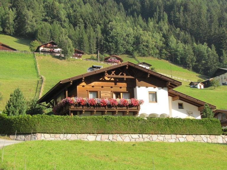 Haus Tamara Sommer IMG_1108