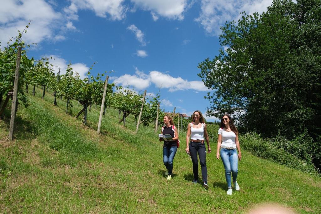 Wandern am Weg zum Weingarten