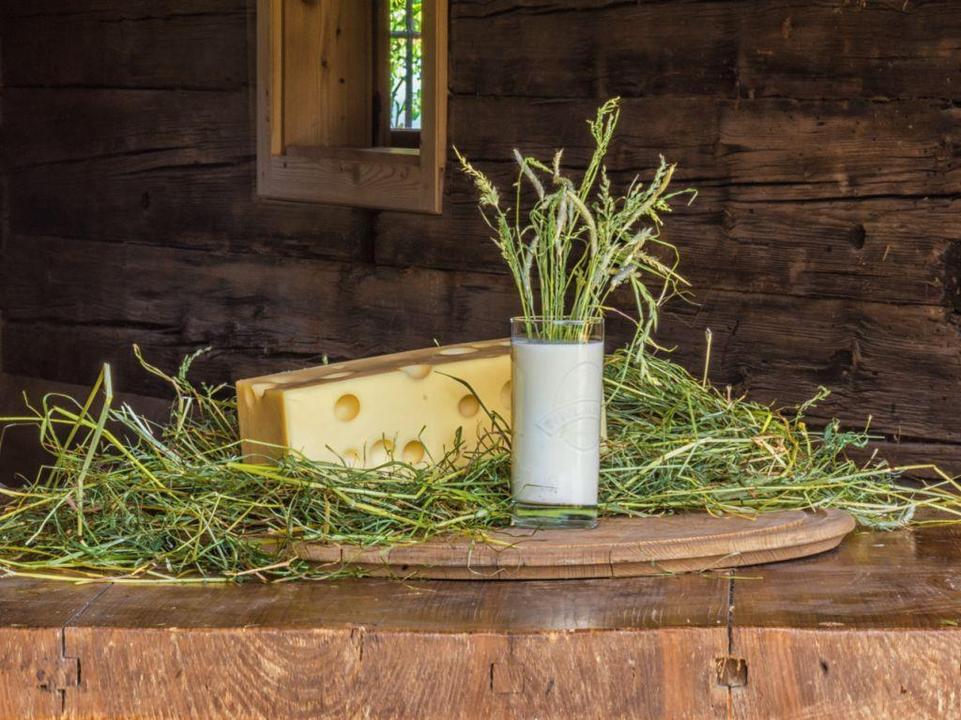 Bio Heumilch Käse