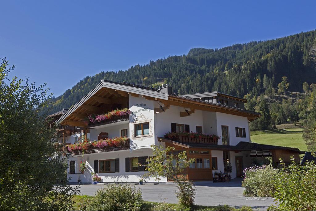 Ansicht Haus Sommer