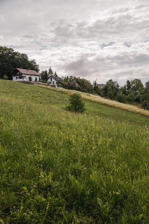 Landschaft