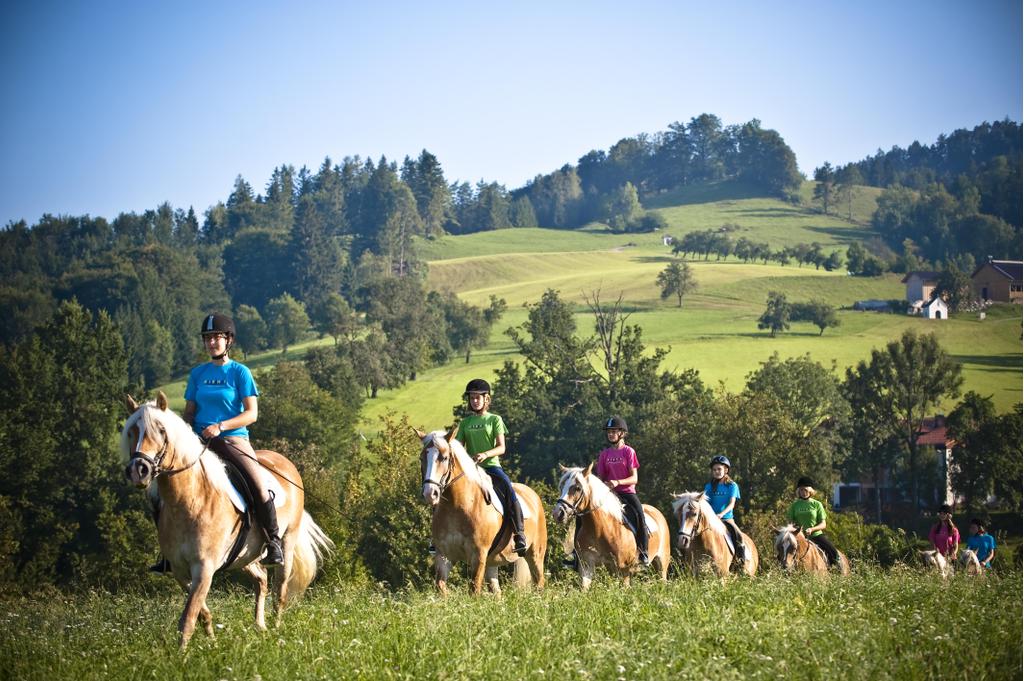 Reiten bei Weyer im Pferdeland Nationalpark Kalkal