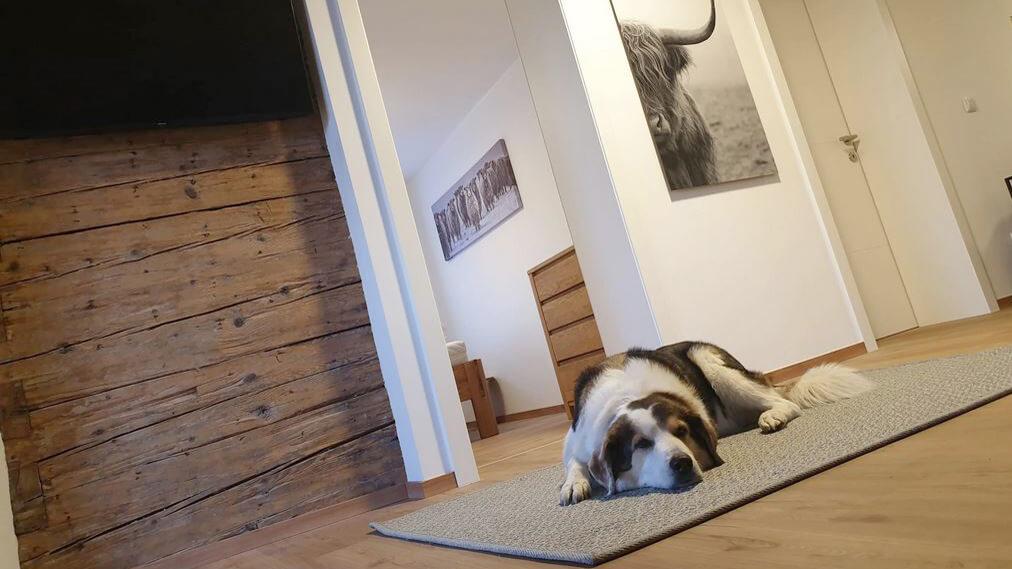 Ferienhaus Pesendorfer - Ferienwohnung Eiche_