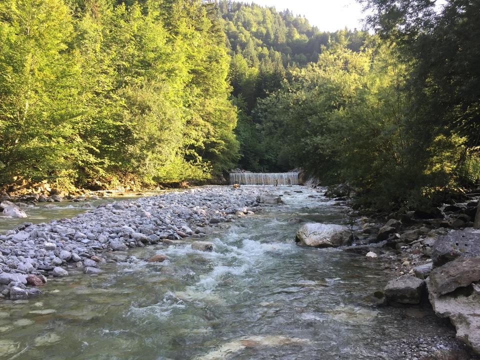Wilder Badeplatz Friedlwirt 1