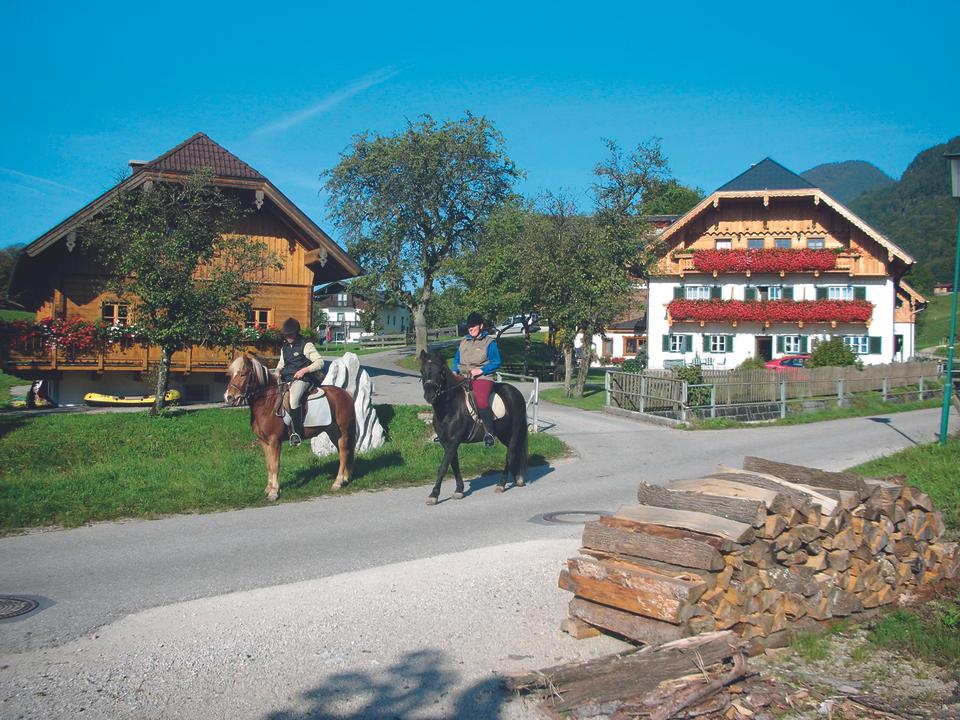Reiterhof Suassbauer