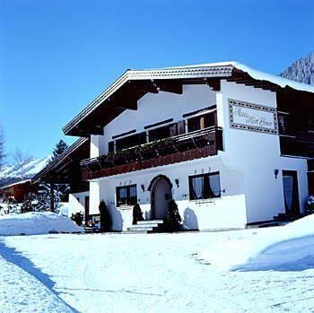 Winterbild - Ebner Kurt